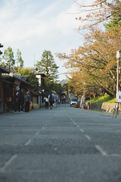 Experiencing the Authentic Kyoto: A Comprehensive Guide to Kyoto Bicycle Tours